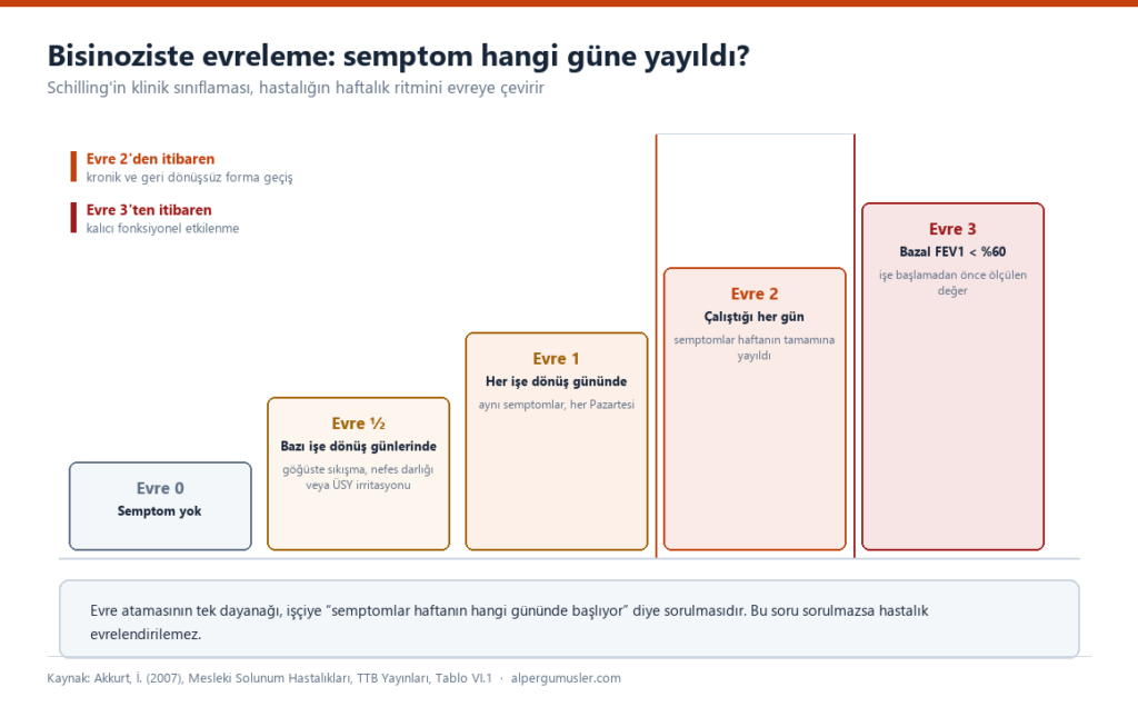 Bisinozis evrelerini gösteren şema: Evre 0 semptom yok, Evre yarım bazı işe dönüş günlerinde, Evre 1 her işe dönüş gününde, Evre 2 çalıştığı her gün, Evre 3 bazal FEV1 yüzde 60ın altında